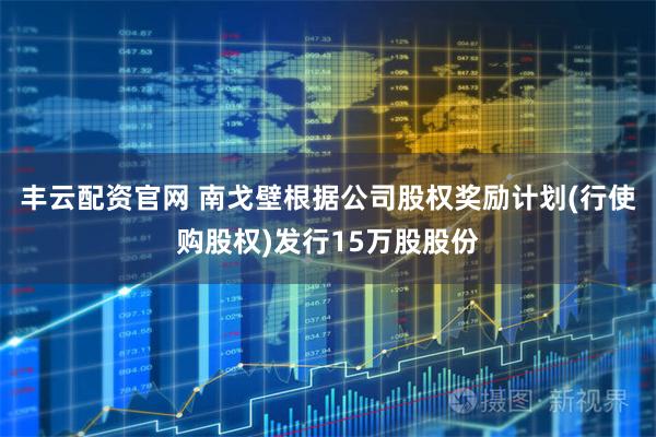 丰云配资官网 南戈壁根据公司股权奖励计划(行使购股权)发行15万股股份