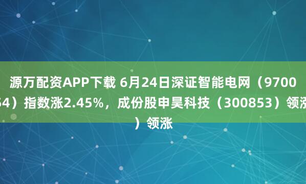 源万配资APP下载 6月24日深证智能电网（970054）指数涨2.45%，成份股申昊科技（300853）领涨