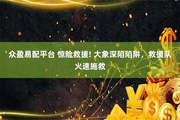 众盈易配平台 惊险救援! 大象深陷陷阱，救援队火速施救