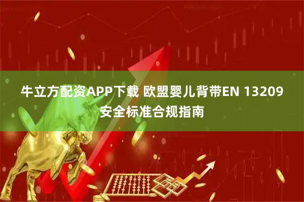牛立方配资APP下载 欧盟婴儿背带EN 13209安全标准合规指南